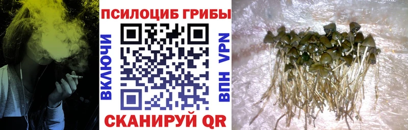 Псилоцибиновые грибы MAGIC MUSHROOMS  MEGA ссылка  Ртищево 